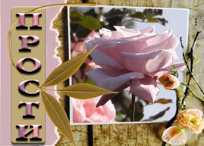 Postcard шикарная открытка прости! с розами