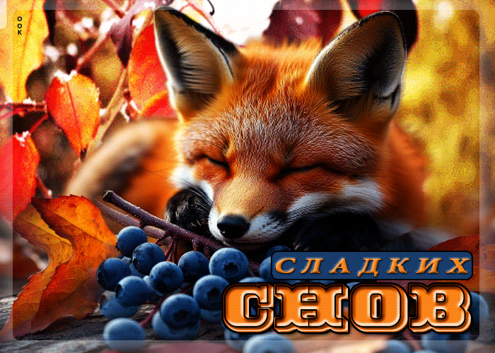 Postcard симпатичная гиф-открытка сладких снов