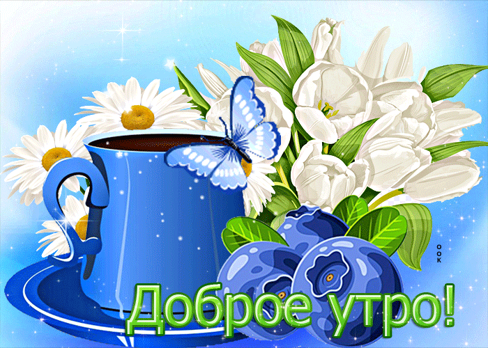 Postcard симпатичная открытка доброе утро! с белыми тюльпанам