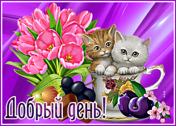 Postcard симпатичная открытка с котятами добрый день!