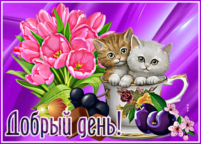 Симпатичная открытка с котятами Добрый день! - Скачать бесплатно на ...