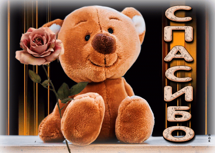 Postcard симпатичная открытка с медведем и розой спасибо