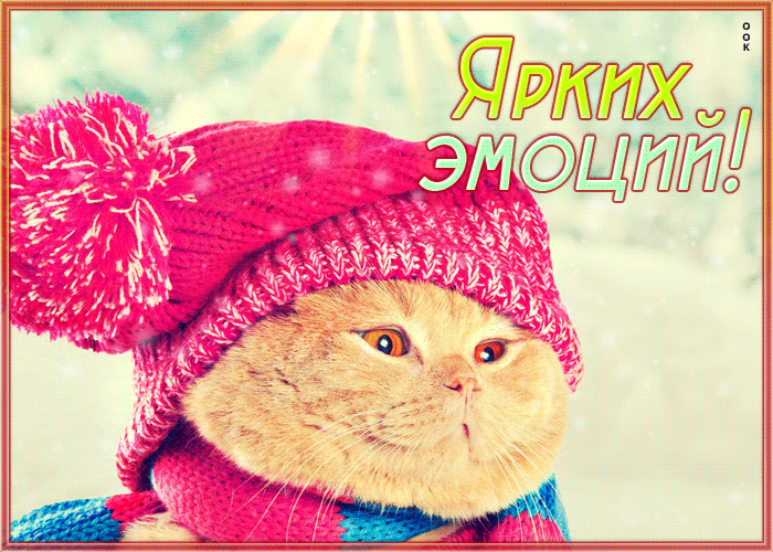 Postcard сказочная и уютная гиф-открытка с котиком ярких эмоций
