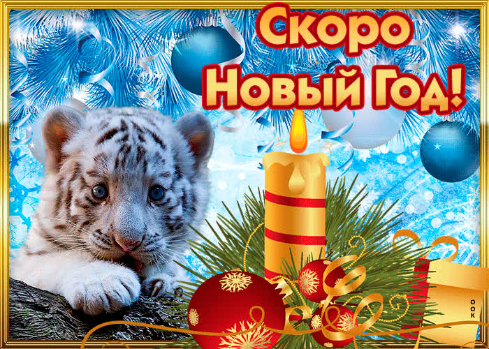 Картинки Скоро Новый Год | ТОП Картинки