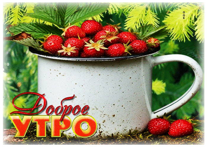 Picture сладкая летняя гиф-открытка доброе утро