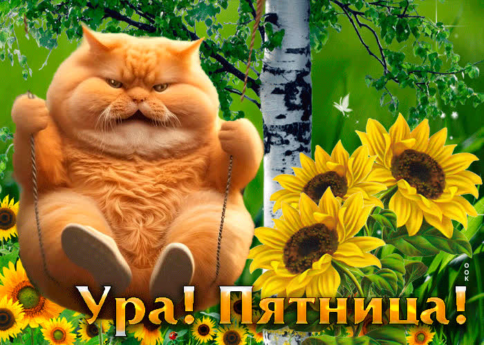 Picture смешная и забавная открытка с котом ура! пятница!