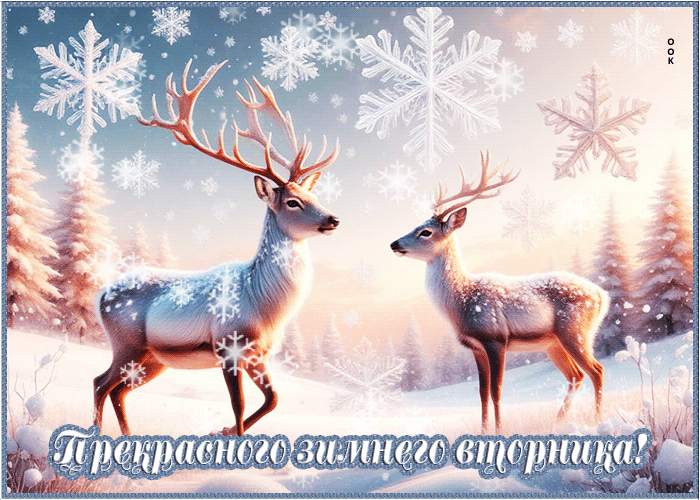 Picture снежная белоснежная гифка прекрасного зимнего вторника