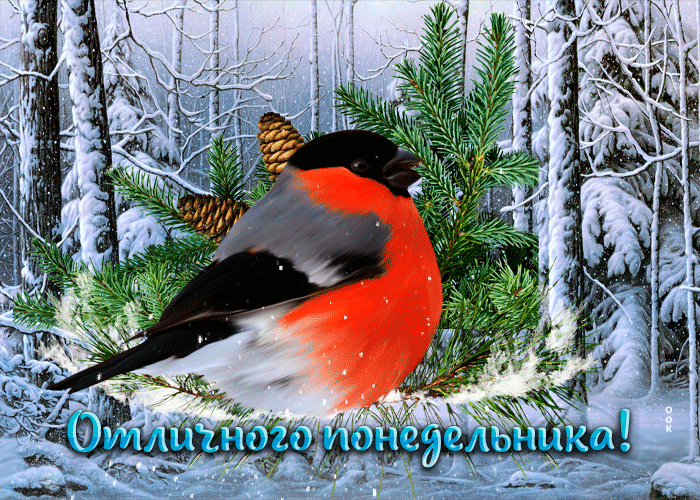 Picture снежная открытка с магическим снегопадом отличного понедельника