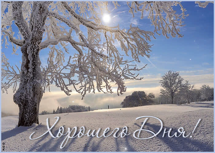 Postcard снежная восхитительная гиф-открытка хорошего дня