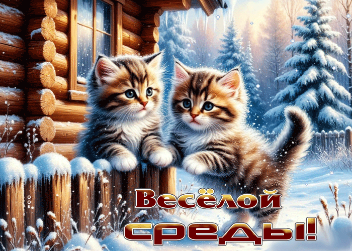 Picture снежно-красивая гифка веселой среды