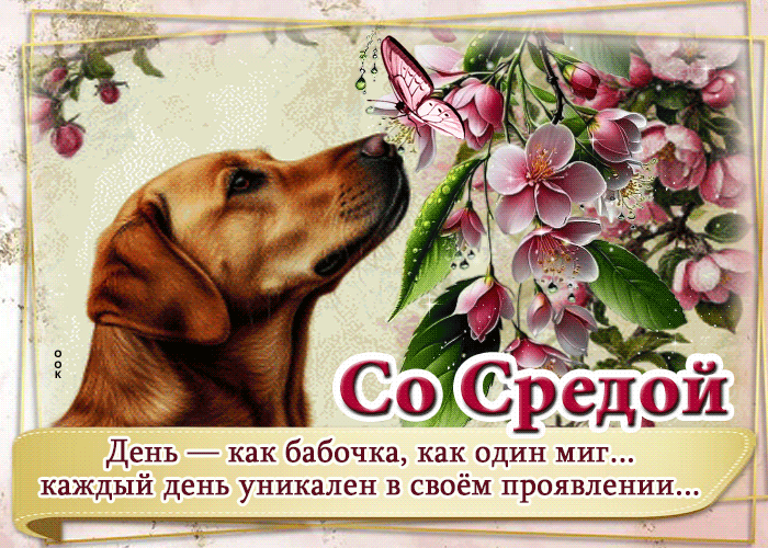 Picture со средой! день - как бабочка, как один миг