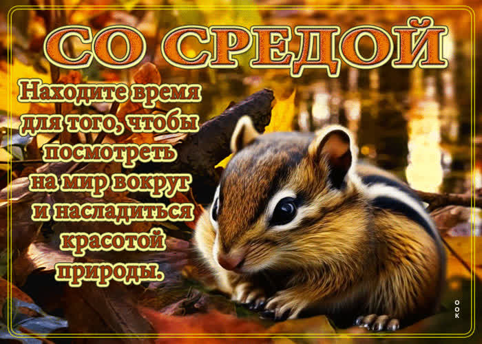 Postcard со средой! находите время, чтобы насладиться красотой природы