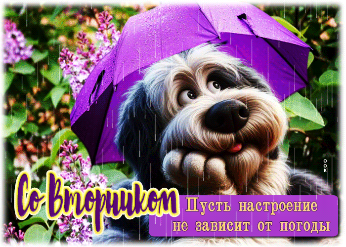 Postcard со вторником! пусть настроение не зависит от погоды