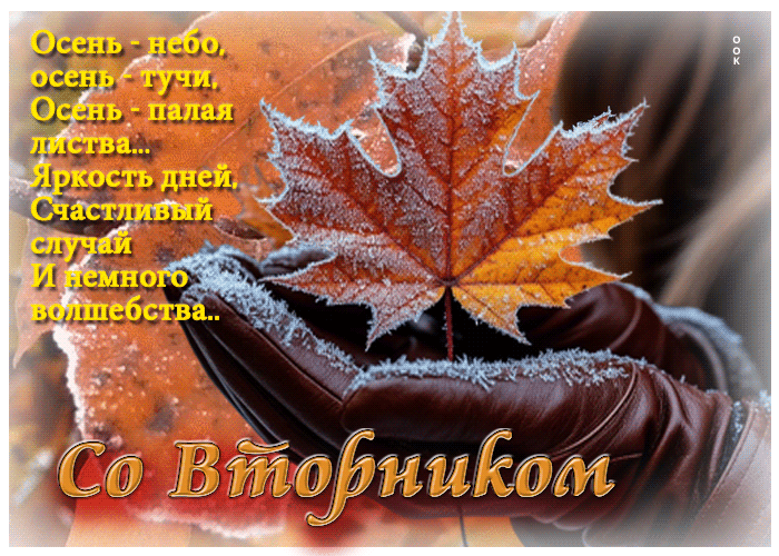 Postcard со вторником! счастливый случай и немного волшебства