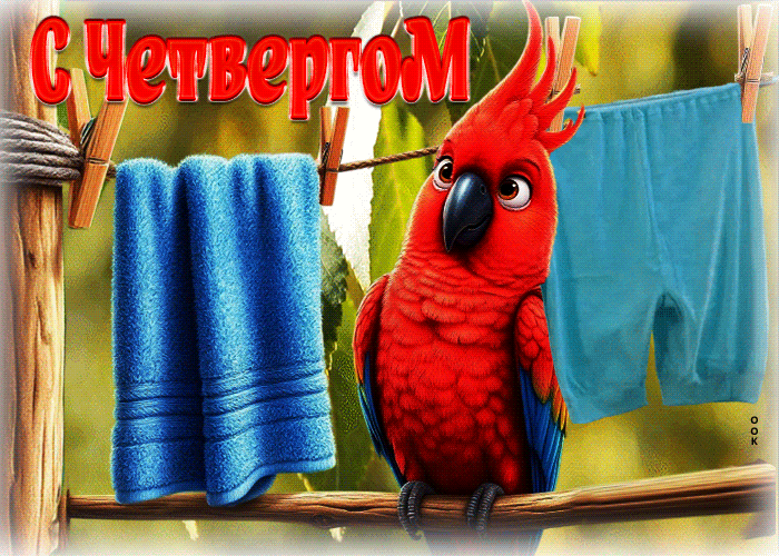 Postcard сочная гиф-открытка с четвергом!