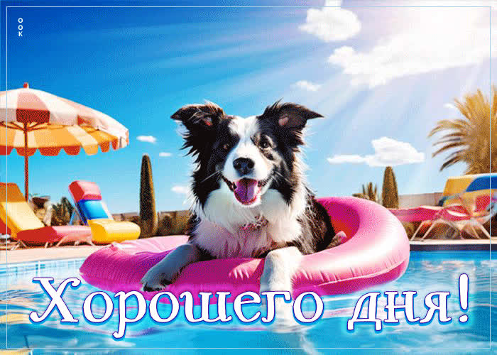 Postcard солнечная и игривая открытка с собачкой хорошего дня
