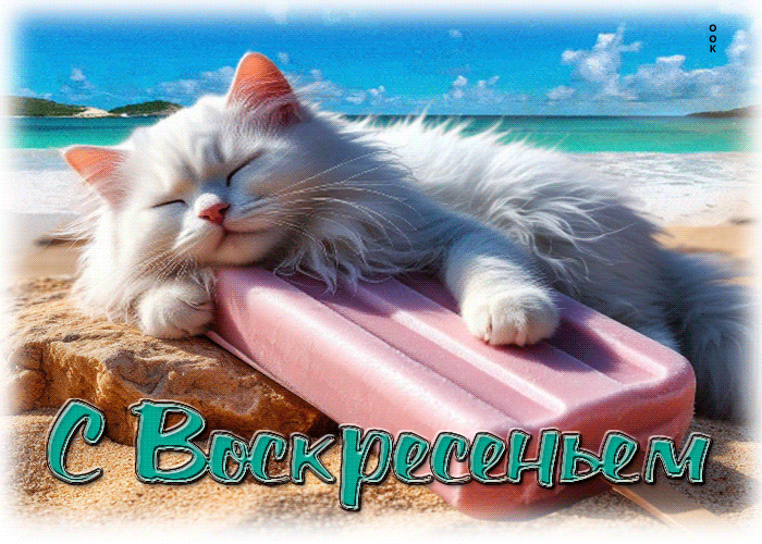 Postcard солнечная летняя гиф-открытка с воскресеньем