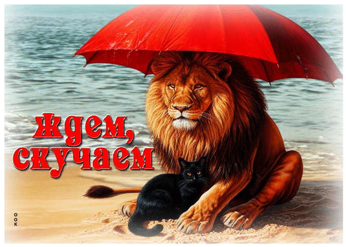 Postcard солнечная лучистая летняя гиф-открытка ждем, скучаем