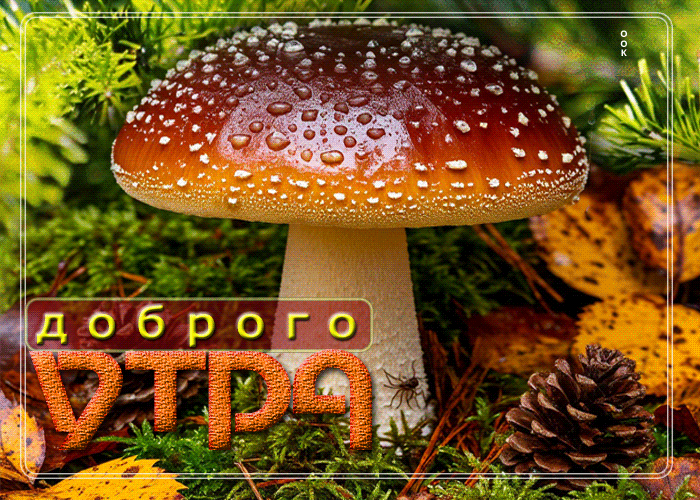 Picture солнечная осенняя гифка доброго утра