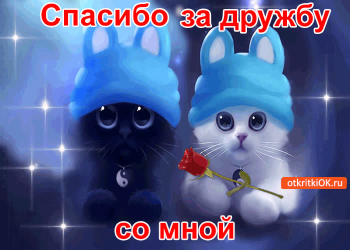 Картинки спасибо за дружбу прикольные, можно видео
