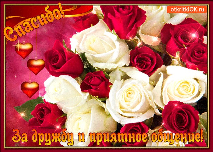 Картинки спасибо за приятное общение