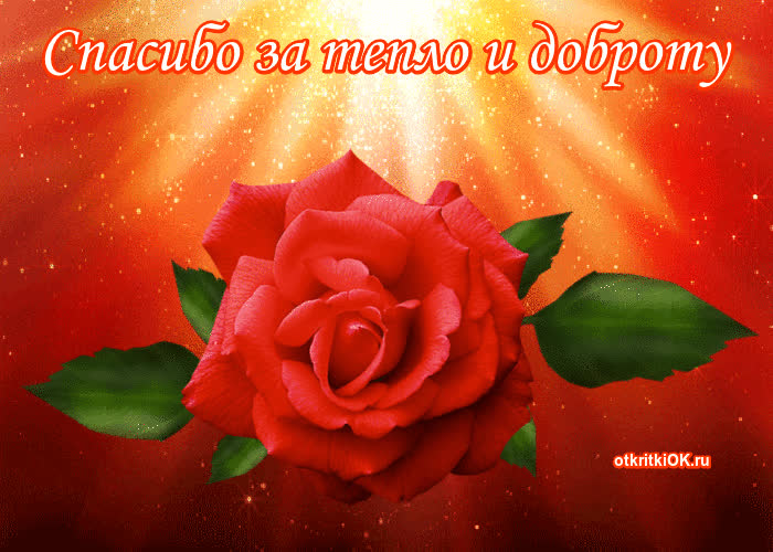 Картинки за доброту души