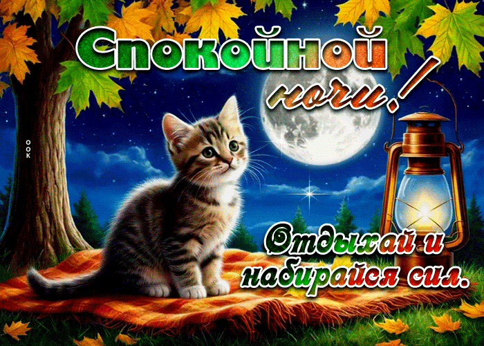 Postcard спокойной ночи! отдыхай и набирайся сил