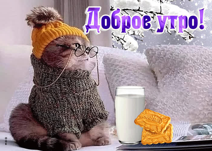 Стильная открытка с котиком в очках Доброе утро- Скачать бесплатно на ...