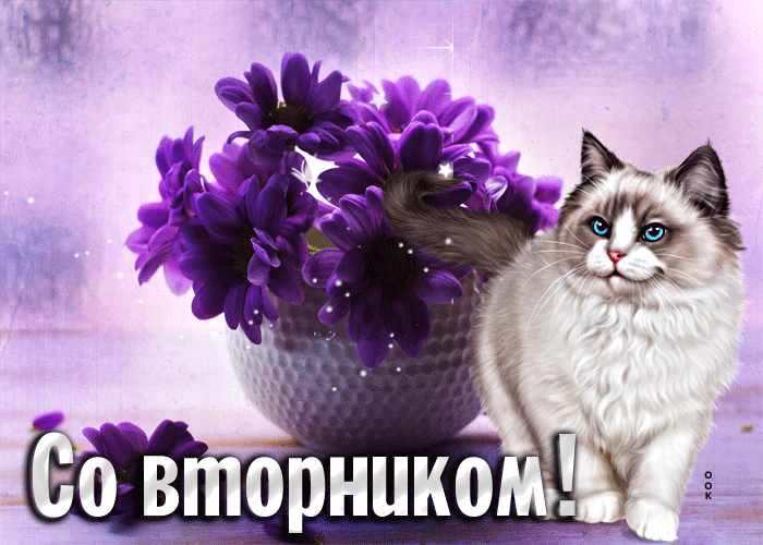 Picture стильная открытка с котом и цветами со вторником