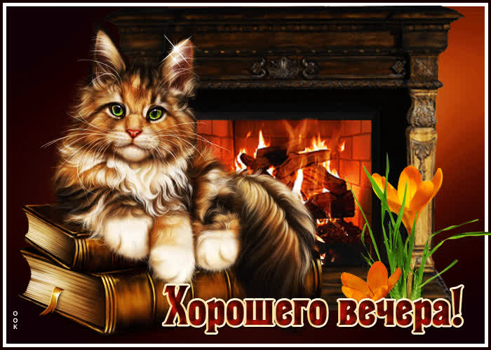 Picture стильная открытка с котом хорошего вечера