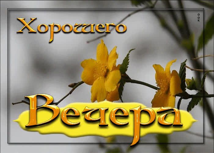 Добрый вечер с чаем и хороших вечерних фото