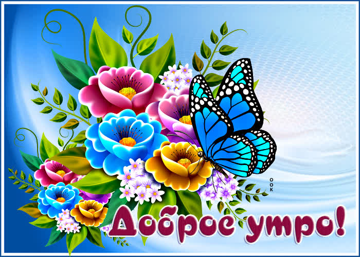 Postcard супер картинка с бабочкой и цветами доброе утро