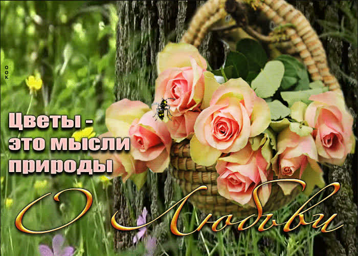 Postcard супер открытка цветы - это мысли природы о любви