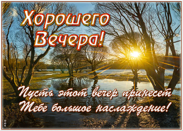 Добрый вечер с чаем и хороших вечерних фото