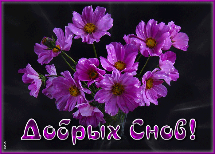 Picture супер открытка с цветочками в вазе добрых снов