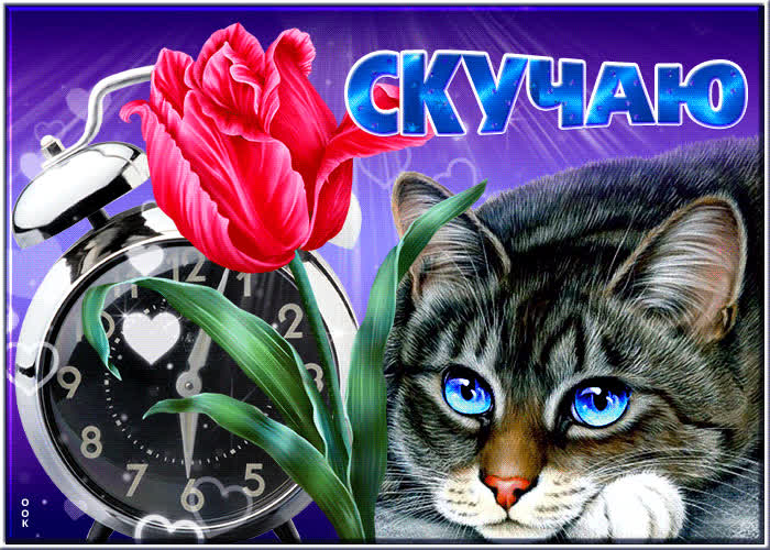 Postcard супер открытка с кошкой и тюльпаном скучаю