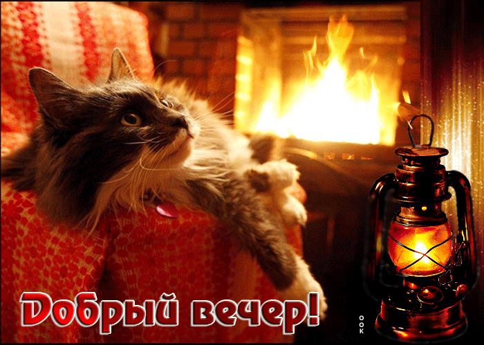 Postcard супер открытка с котиком у камина добрый вечер!