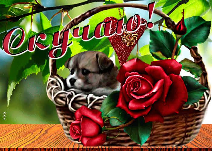 Postcard супер открытка с собачкой в корзинке скучаю
