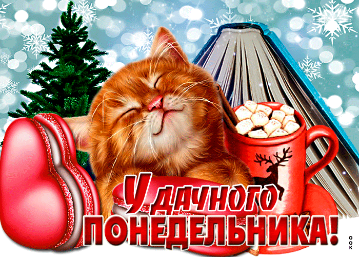 Открытка супер открытка удачного понедельника с котом