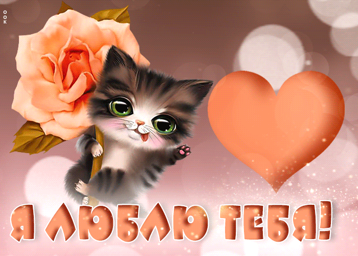 Picture супер открытка я люблю тебя! с котенком и цветком