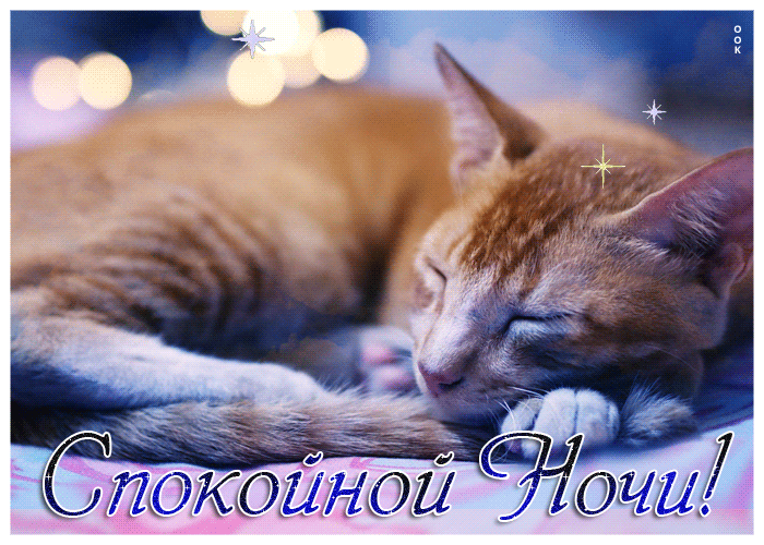 Picture суперская открытка со спящим котом спокойной ночи