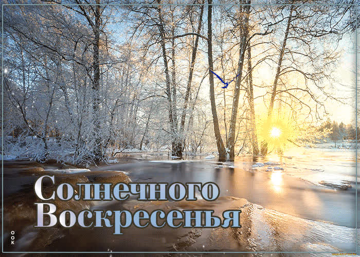 Солнечного воскресенья картинки