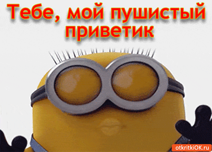 Мой пушистик открытки