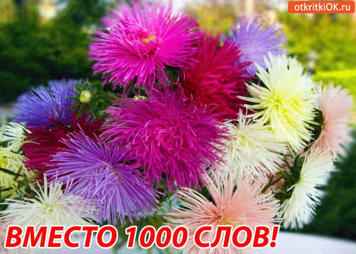 Картинка тебе вместо 1000 слов!