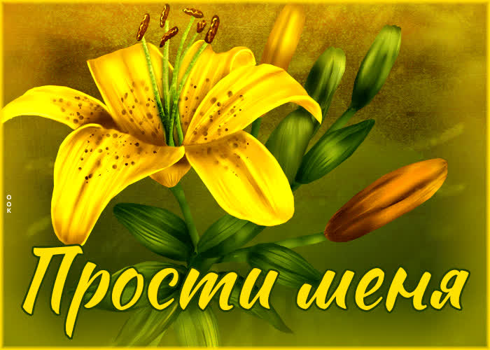 Теплая и уютная открытка с цветком Прости меня - Скачать бесплатно на ...