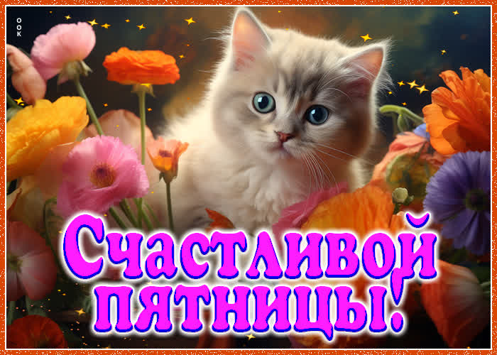 Postcard теплая открытка с котенком счастливой пятницы!