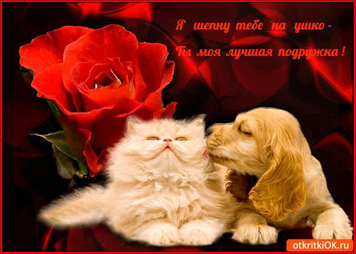 розы зимой на урале