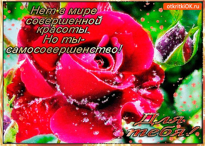 Анимационные картинки ты самая красивая, открытка