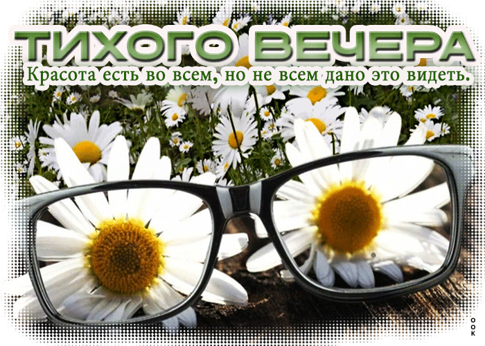 Postcard тихого вечера. красота есть во всем, но не всем дано это видеть