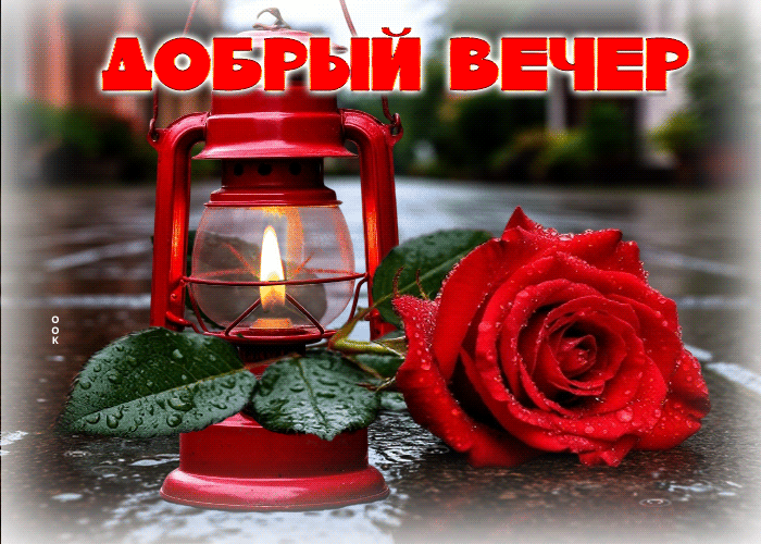 Picture трепетная гиф-открытка добрый вечер